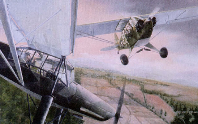 "Duel in the Sun" - Burt Mader - World War II Aviation Art